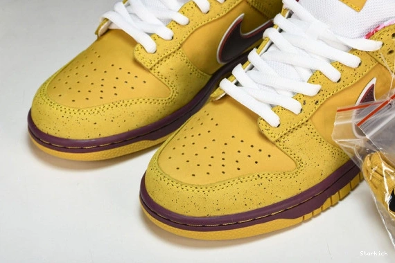  SB Dunk Yellow Lobster 313170-137566 Nike Low 0331